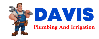 Trusted plumber in ALBERS